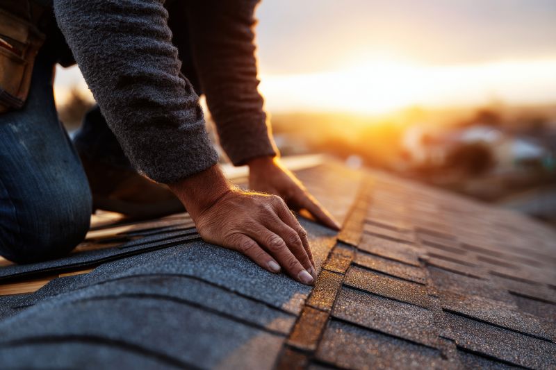 Experienced Roof Repair Experts