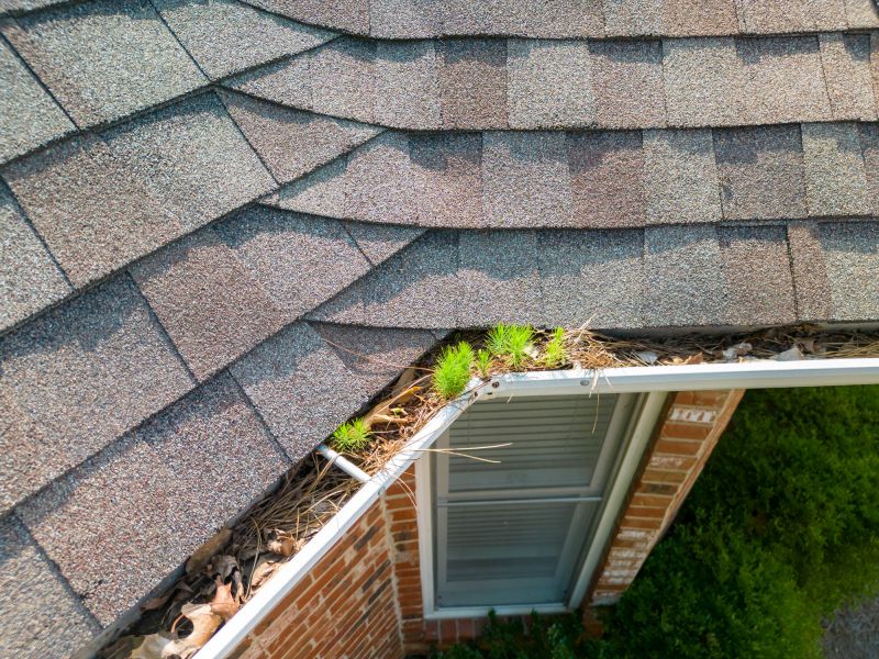 Gutter and Downspout Maintenance